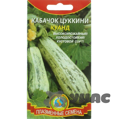 Кабачок Куанд цуккини Плазма Ц