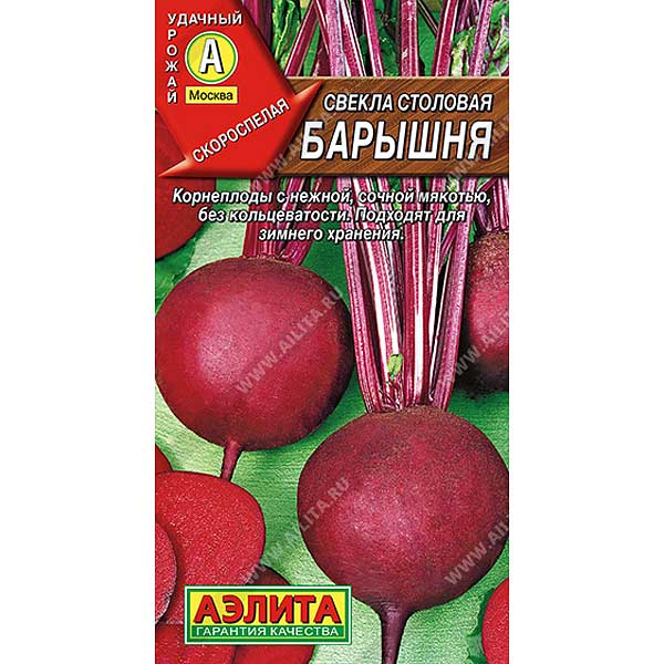 Свекла Барышня Аэлита Ц