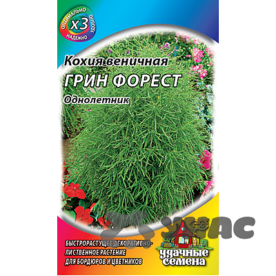 Кохия Грин Форест (метал) Гавриш Ц 