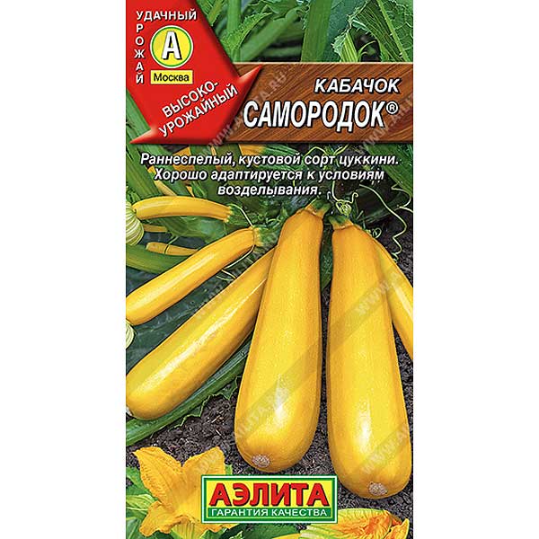 Кабачок Самородок Аэлита Ц