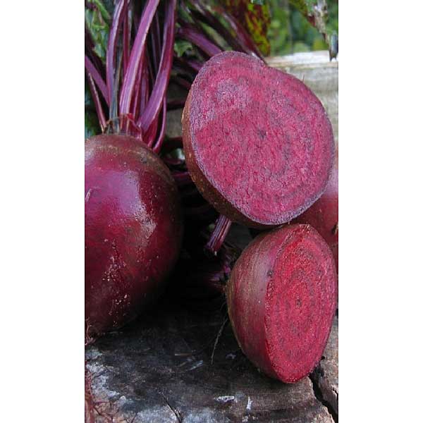 Семена Свекла Герман Марс Ц