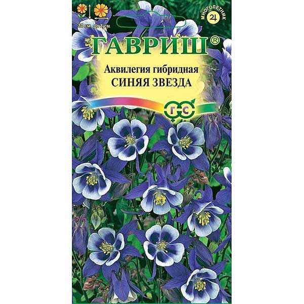 Аквилегия Синяя Звезда гибридная Гавриш Ц 