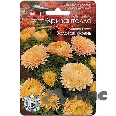 Астра Хризантелла Золотая осень Биотехника Ц 