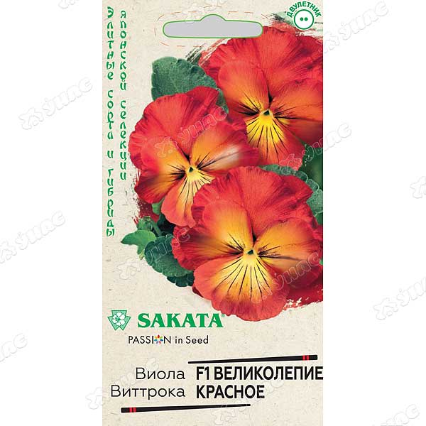 Виола Виттрока Великолепие красное Гавриш Ц 