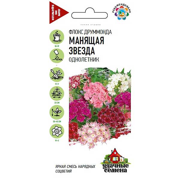 Флокс Друммонда Манящая звезда Удач сем Гавриш Ц 