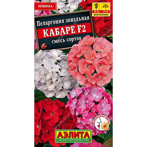 Пеларгония Кабаре Аэлита Ц 
