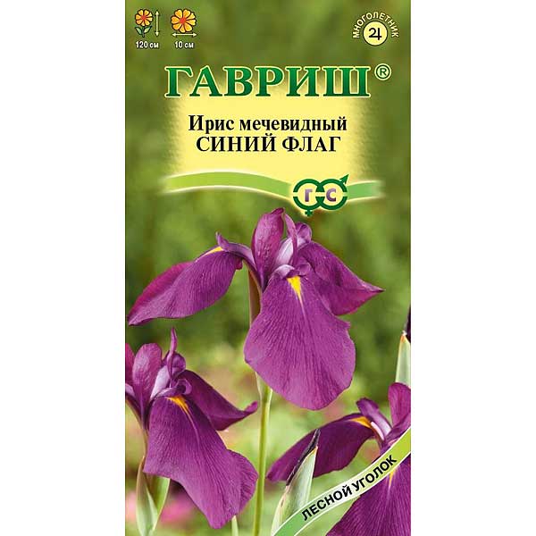 Ирис Синий флаг (мечевидный) Гавриш Ц 