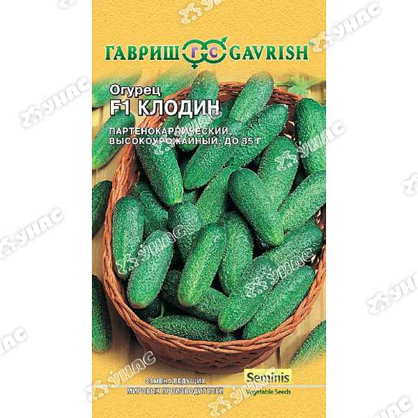 Огурец Клодин Гавриш Ц