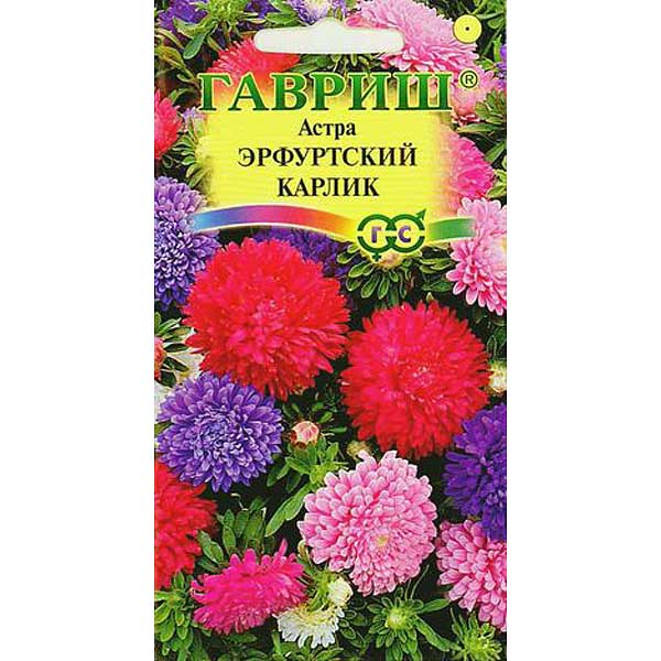 Астра Эрф карлик смесь Гавриш Ц 