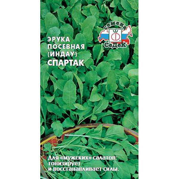 Руккола (индау) Спартак Седек Ц