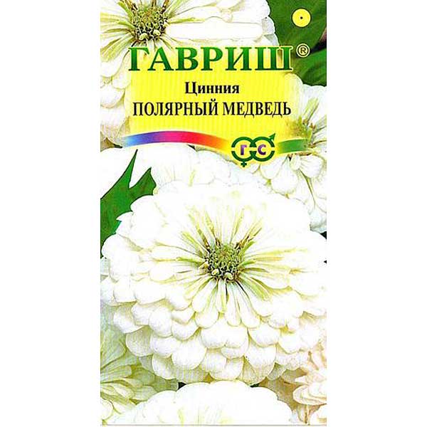 Циния Полярный медведь изящная Гавриш Ц 