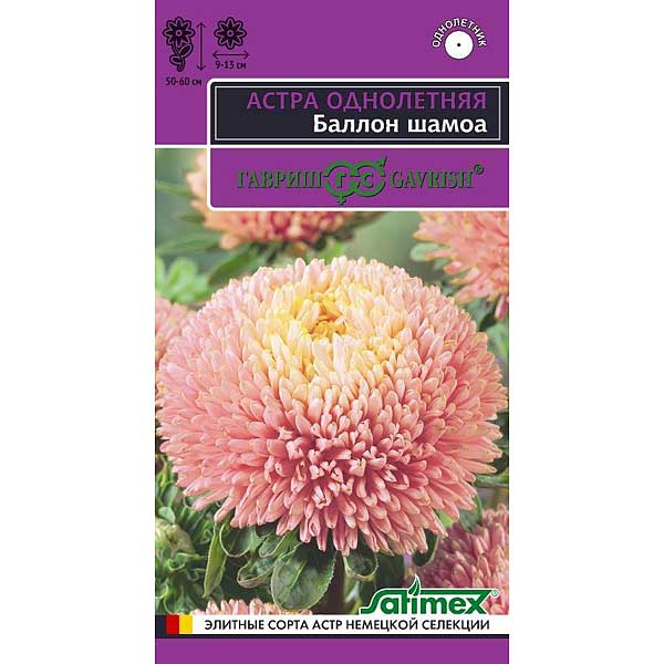 Астра Баллон шамоа Гавриш Цх10 