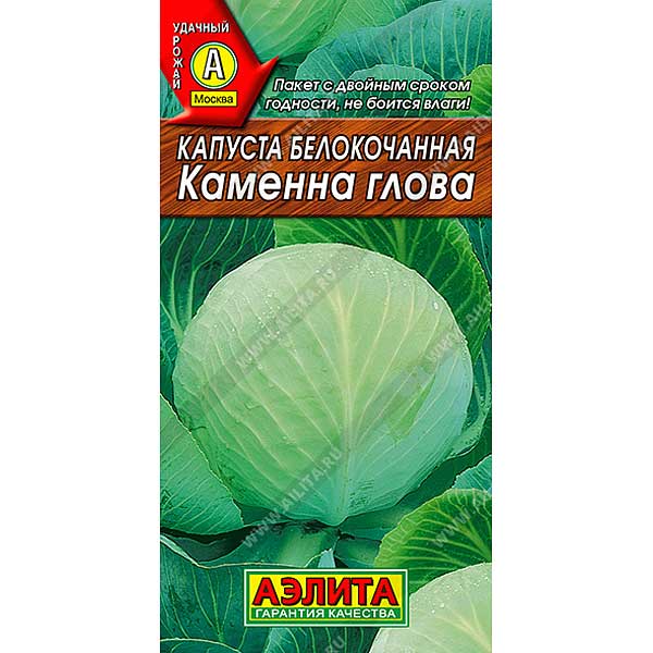 Капуста Каменна глова Аэлита Ц