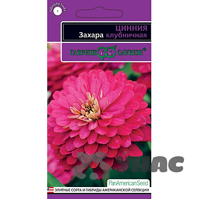 Циния Захара клубничная Гавриш Ц 