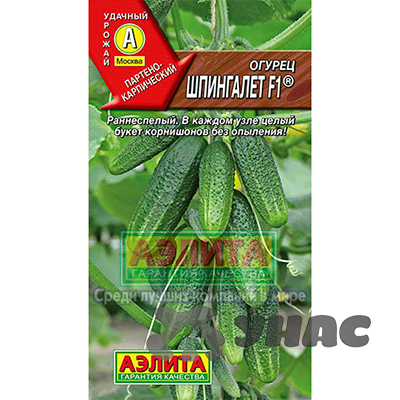 Огурец Шпингалет Аэлита Ц