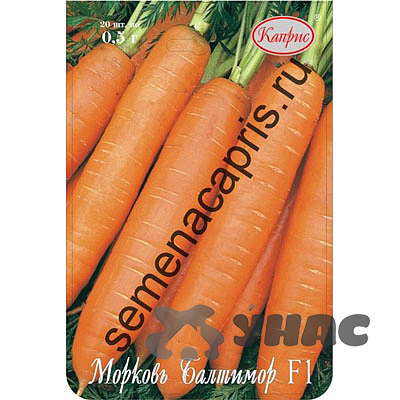 Морковь Балтимор (Нидерланды) Каприс