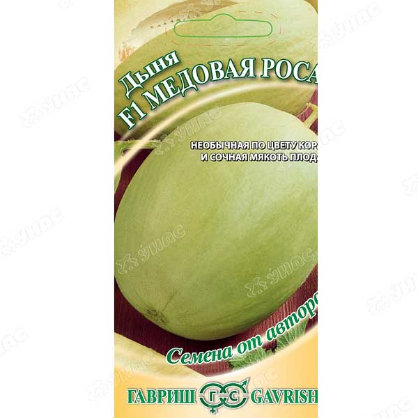 Дыня Медовая роса Гавриш Ц