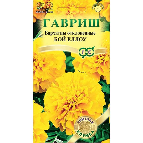 Бархатцы Бой Еллоу Гавриш Ц 