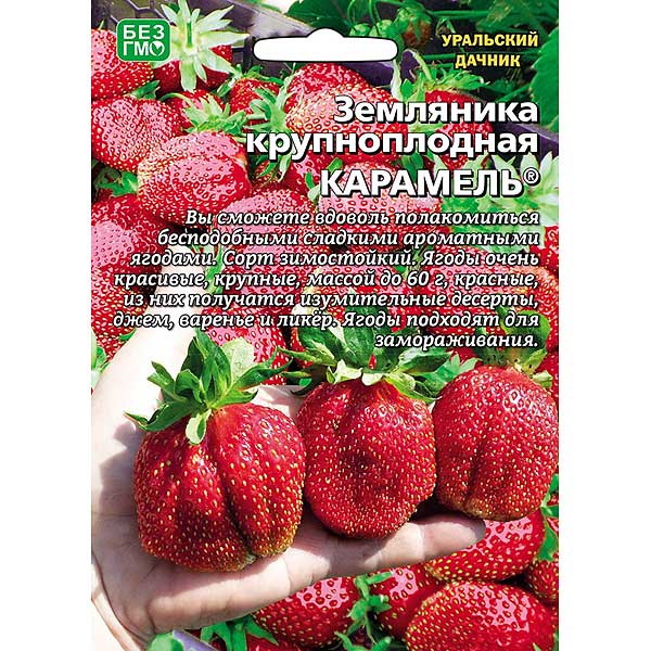 Земляника Карамель б/ф Марс Ц Земляника Карамель б/ф Марс Ц