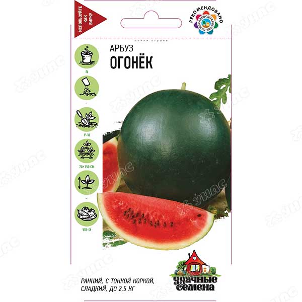 Арбуз Огонек Удач. семена Гавриш Ц