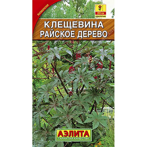 Клещевина Райское дерево  Аэлита Ц 