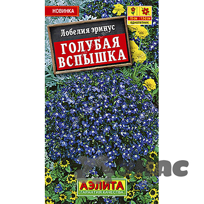 Лобелия Голубая вспышка Аэлита Ц 