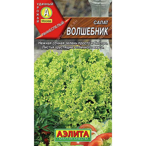 Салат Волшебник Аэлита Ц