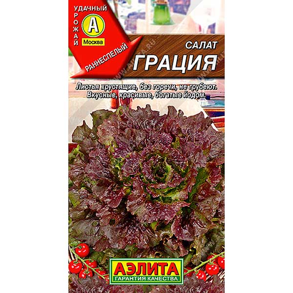 Салат Грация Аэлита Ц