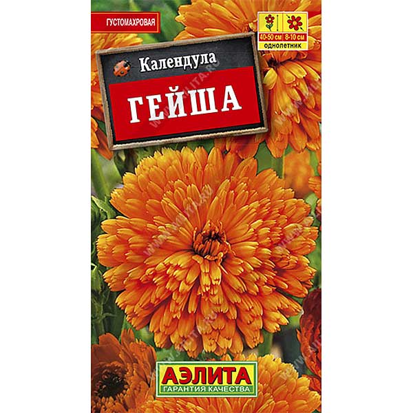 Календула Гейша Аэлита Ц 