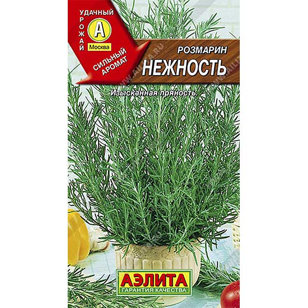 Розмарин Нежность Аэлита Ц