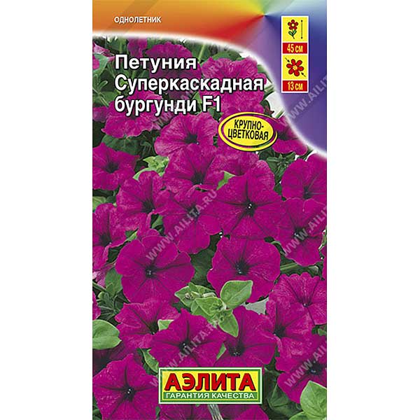 Петуния суперкаскадная бургунди Аэлита Ц 