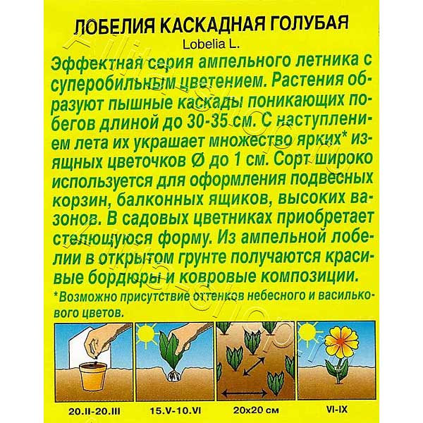 Лобелия Каскадная голубая Аэлита Ц х10 