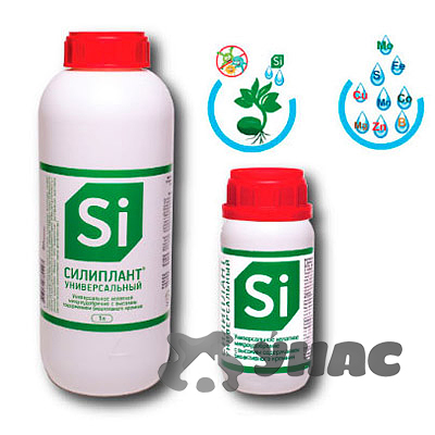 Силиплант 100мл (стимулятор роста)  НестМ х 40 