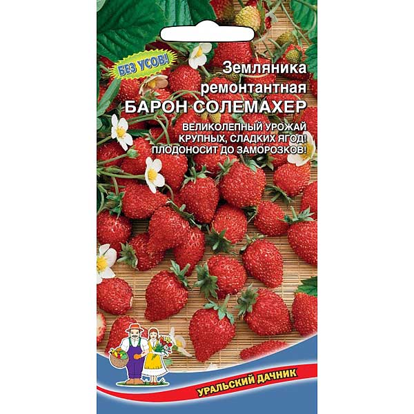 Земляника Барон Солемахер Марс Ц Земляника Барон Солемахер Марс Ц