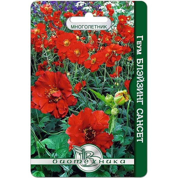 Геум Блэйзинг Сансет махр. Биотехника Ц х10 