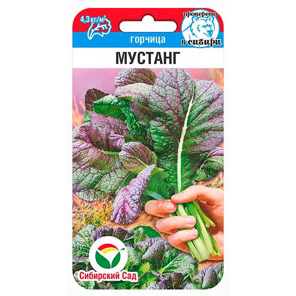 Горчица Мустанг СибСад