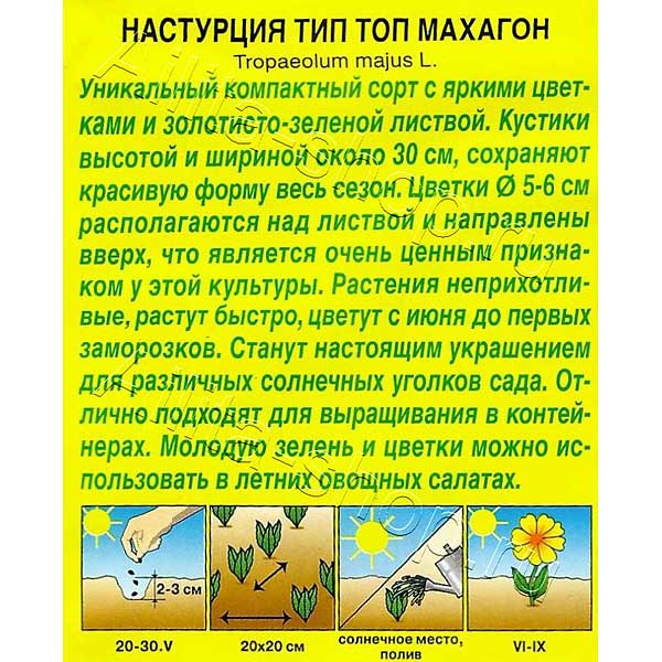 Настурция Тип Топ махагон Аэлита Ц 