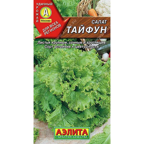 Салат Тайфун листовой Аэлита Ц