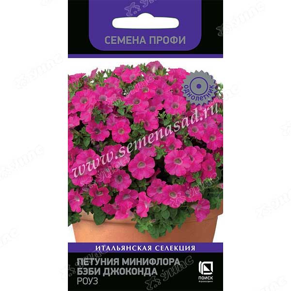 Петуния Бэби Джоконда Роуз Поиск Ц 
