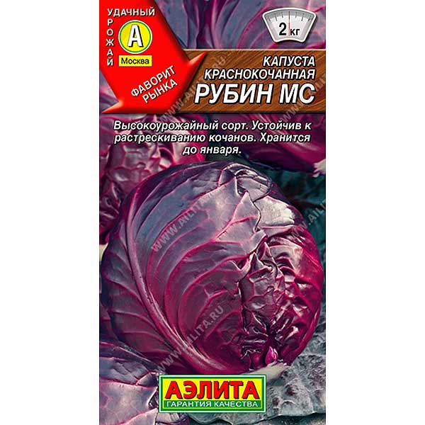 Капуста к/к Рубин Аэлита Ц
