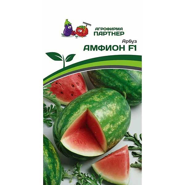 Арбуз Амфион Партнер Ц