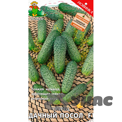 Огурец Дачный посол Поиск Ц