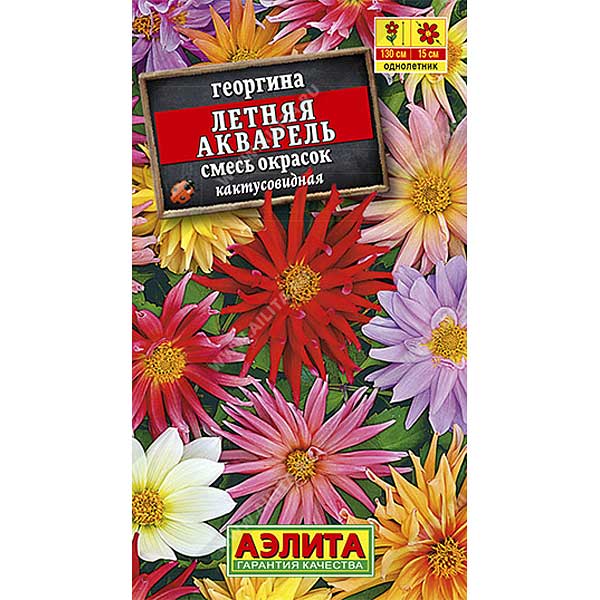 Георгин Летняя акварель смесь Аэлита Ц 