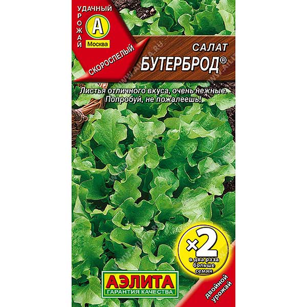 Салат Бутерброд листовой  2-ая гр Аэлита