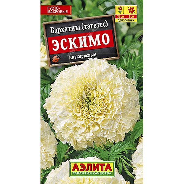 Бархатцы Эскимо  Аэлита Ц 