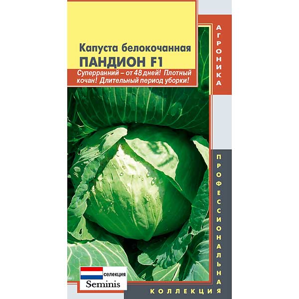 Капуста Пандион Плазма Ц