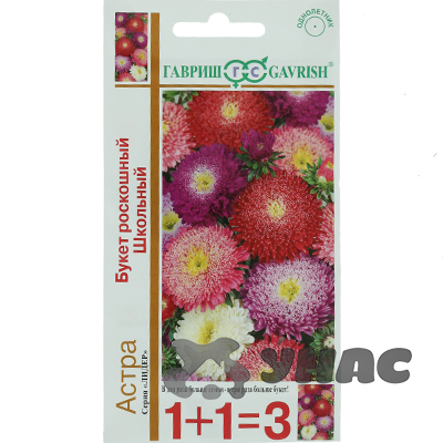 Астра Букет Роскошный школьный 1+1 Гавриш Ц 