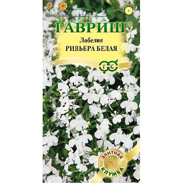 Лобелия Ривьера Белая Гавриш Ц 