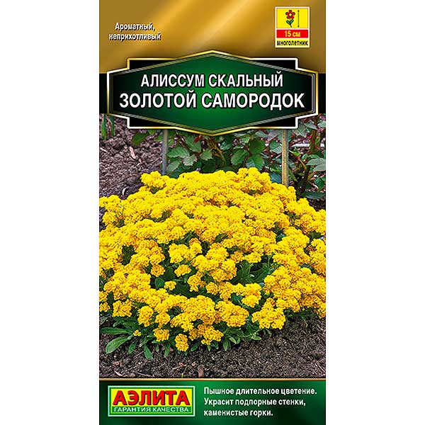 Алиссум золотой самородок Аэлита Ц 