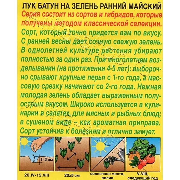 Лук батун Ранний майский Аэлита Цх10